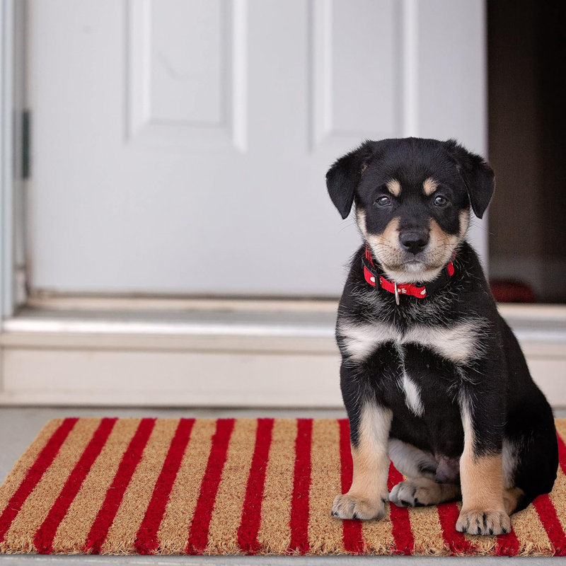 Non-Slip Doormat