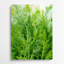 Aquarelle, botanique, 68, art mural vert en métal-170286688