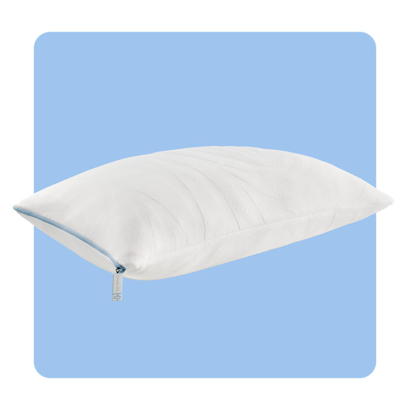 Sealy Dreamlife Standard White Shredded Memory Foam Pillow