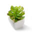 Mini plantes grasses artificielles en pots