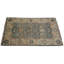 Piccarda Oriental Area Rug in Blue