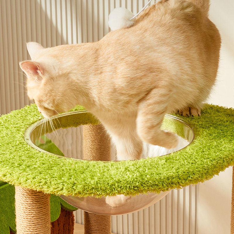 Arbre à chat Jungle Park
