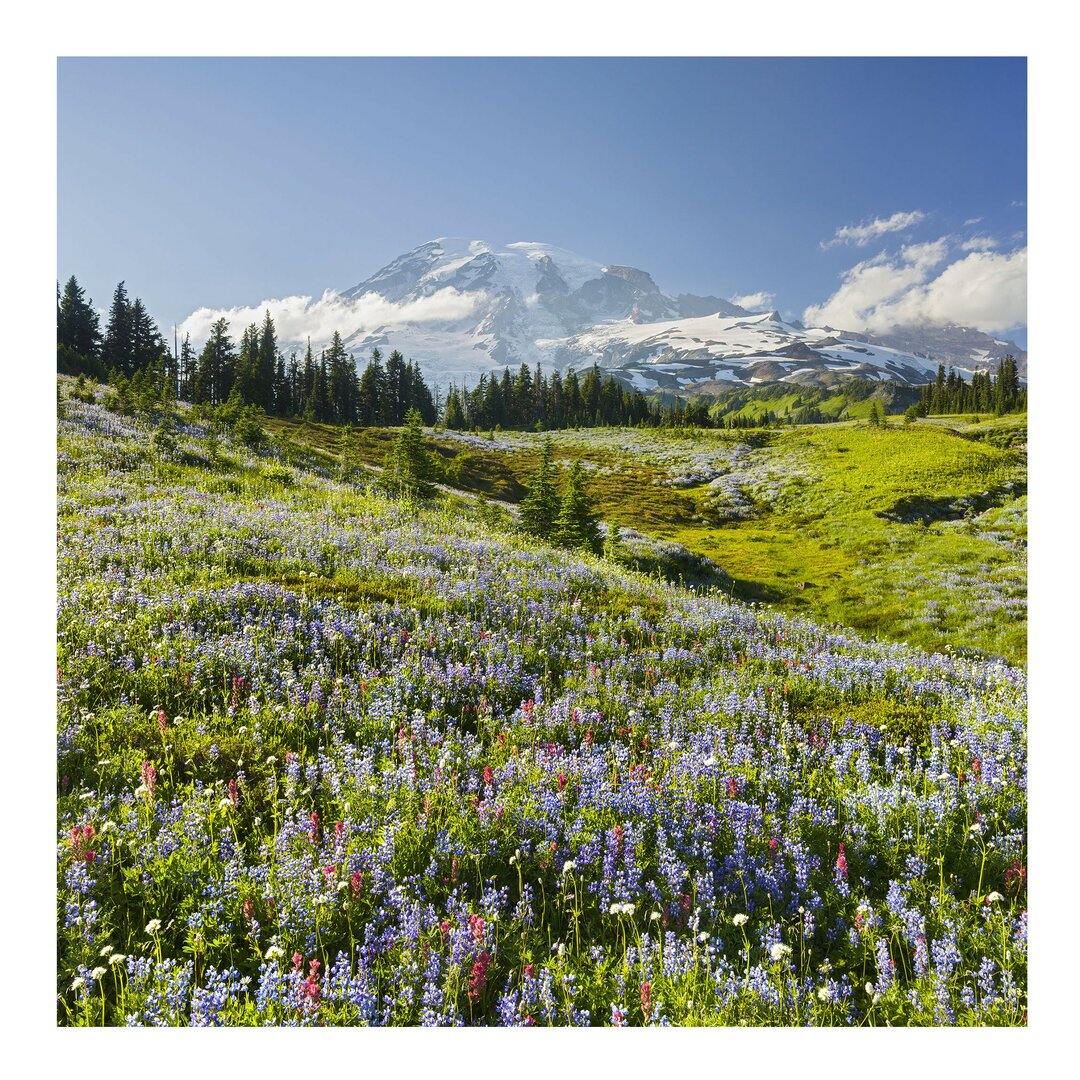 Seidenmatte Tapete Mountain Meadow before Mt Rainier