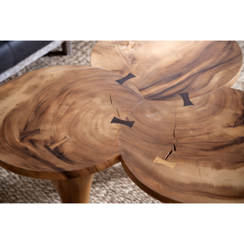Marley Coffee Table in Natural/Brown