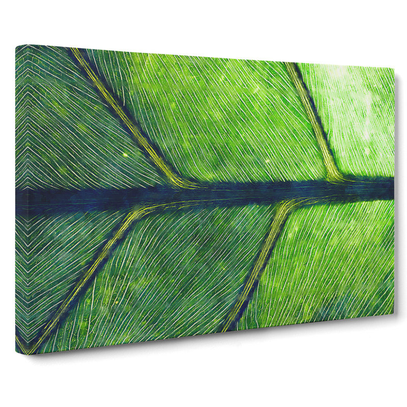 Leaf Detail - Wrapped Canvas, 35cm H x 50cm W x 3cm D