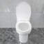 Kichae Elongated One-Piece Modern Toilet, 1.28 GPF Powerfule Flush Floor Mounted Toilet (Seat Included)