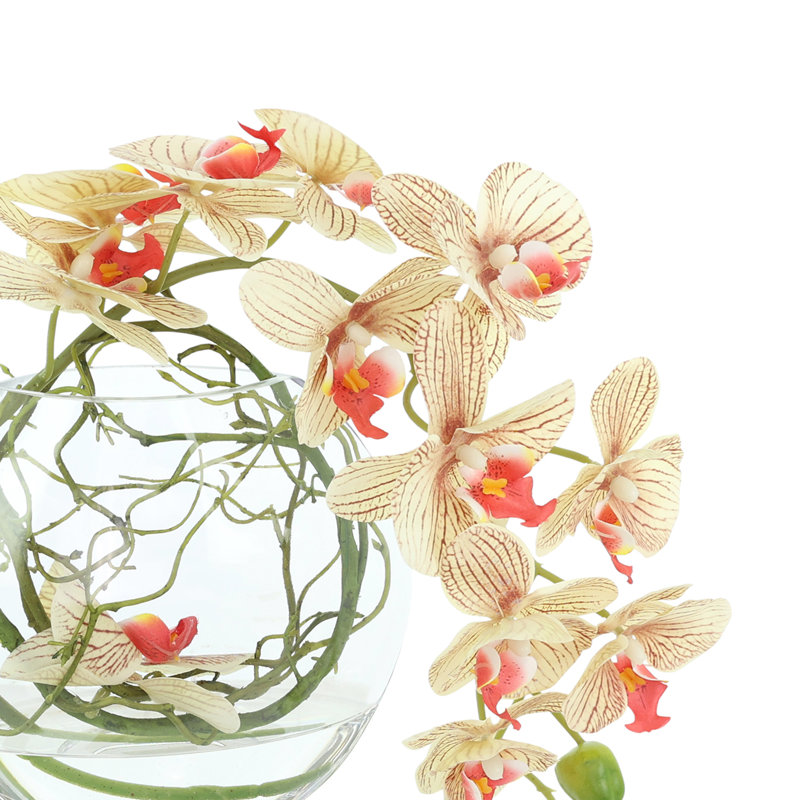 Orchid and Vine Arrangement in Glass Vase, Orange