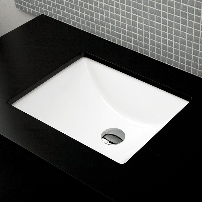 Spring 19.25'' L Bathroom Sink, White