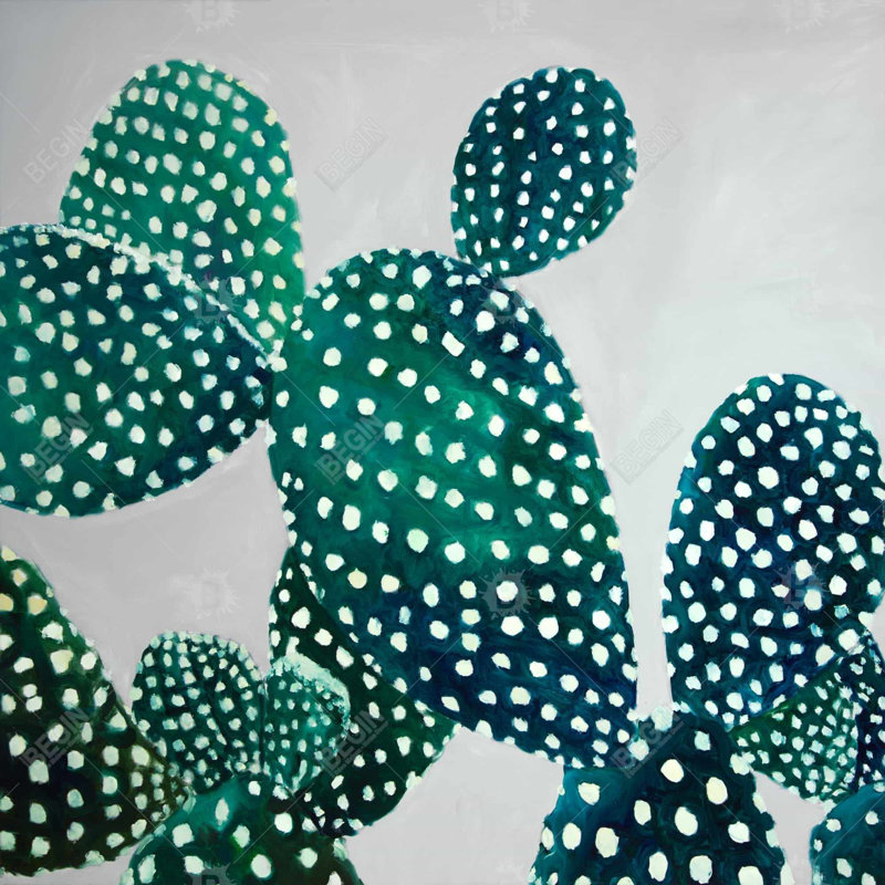 «Opuntia Cactus» sur