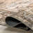 Ecker Medallion Machine Washable Area Rug for Living Room Bedroom Dining Room Kitchen-731516945