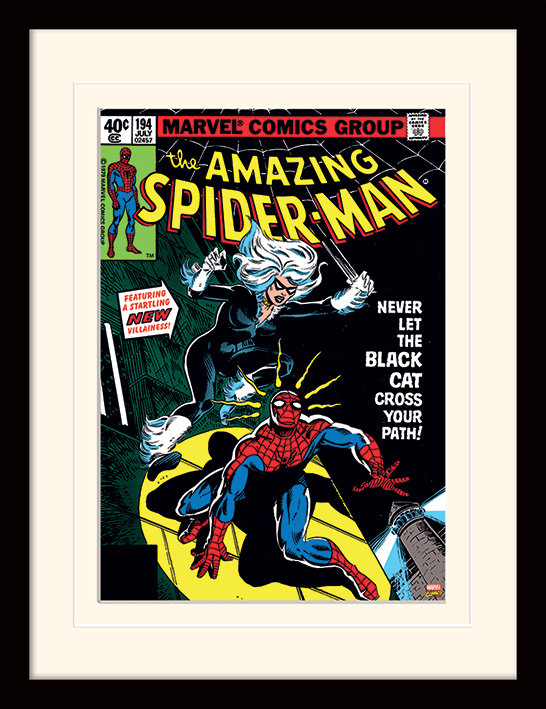 Spider-Man Black Cat Framed Graphic Art Print