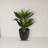 Agave Artificial Plant