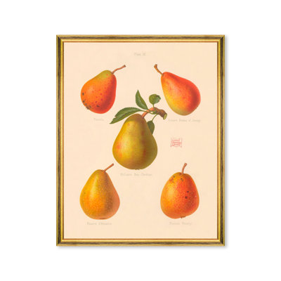 Fruits
