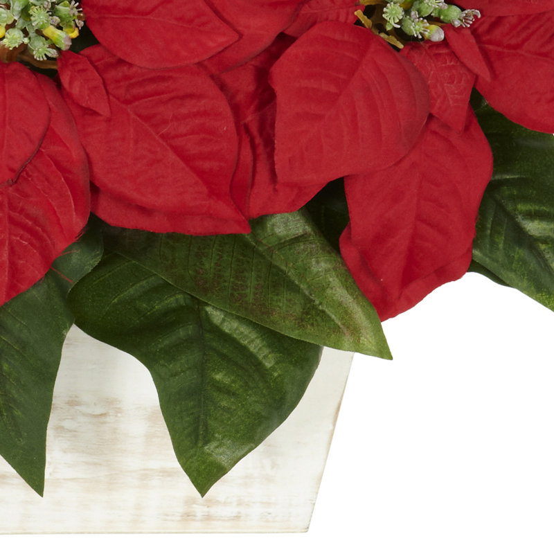 Arrangements floraux de poinsettias en pot