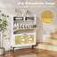 Allyssah 8 Pair Shoe Storage Cabinet