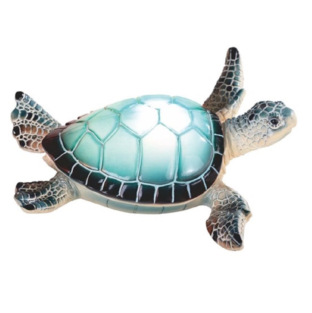 FC Design Sea Turtle With Led Night Light & Reviews | Wayfair