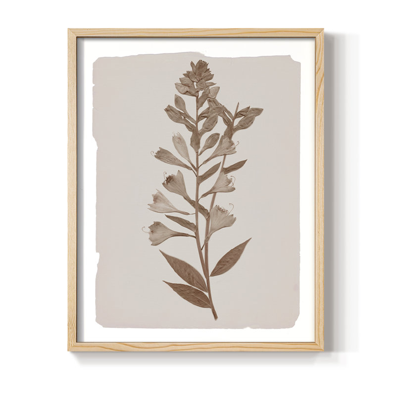 Impression botanique monochrome I - bois massif, Naturel, H 11 po x l 9 po