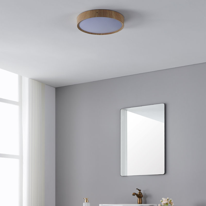 Maio Plastic LED Flush Mount