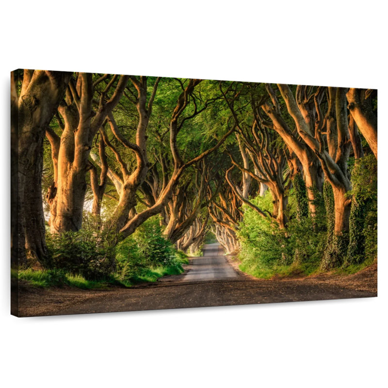 Kavia, forêt de haies sombres Ballymoney, H 34 po x l 51 po