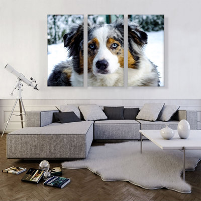 Australian Shepard Dog - 3 Piece Wrapped Canvas Photograph
