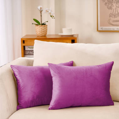 Velvet Pillow Cover (Set of 2 Pillow Covers Only) (Set of 2) WARISI Color: Purple