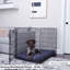 Polyester Pet Bed-1015778371-1015778368