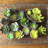 3'' Faux Succulent Plant in Pot