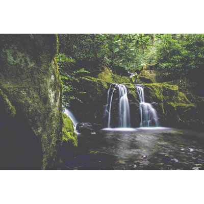 Photographie de cascade de forêt