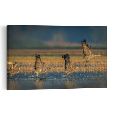Sandhill Cranes Flight Contemporary Bird Wall Art Print