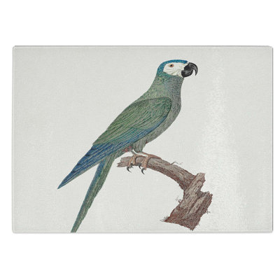 Tempered Glass Bellied Macaw Parrot by F. Levaillant Chopping Board