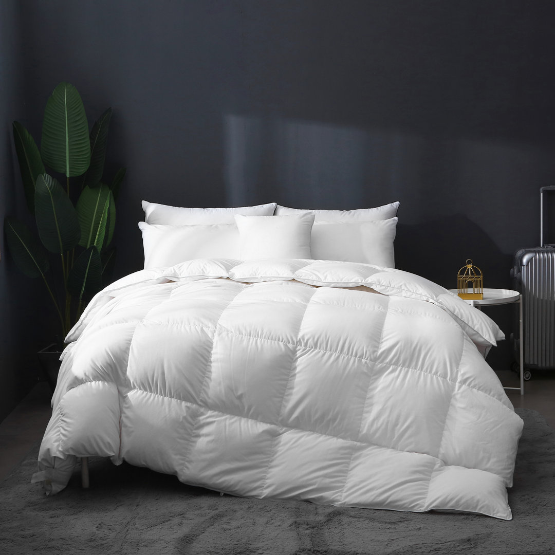 High Fill Power All Season Feather Down Comforter ValenciaLuxe 