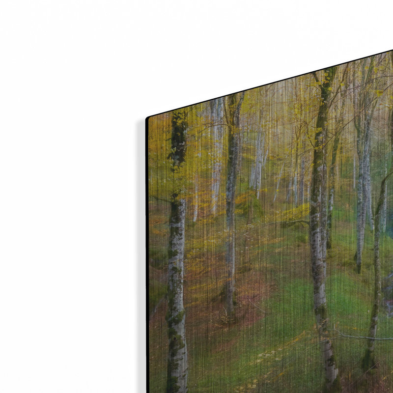 «Dream Of Birches» par Lars Van De Goor, H 16 po x l 24 po