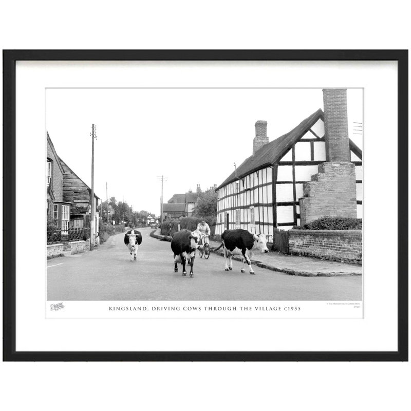 Kingsland, Driving Cows Through the Village C1955 1 Piece Single Picture Frame Wall Art, 60cm H x 80cm W x 2.3cm D