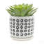 S/2 5/6" AZTEC PLANTER W/ SAUCER, BLACK