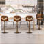 Tabouret de bar à hauteur ajustable (ensemble de 4)-1359931764