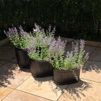 3 Piece Nina Oval Belly Planters