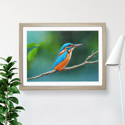 Evocative Kingfisher Bird - Framed Print