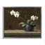 Orchidée blanche en pot sur cadre flottant en corniche, design par Yumiko Ichikawa