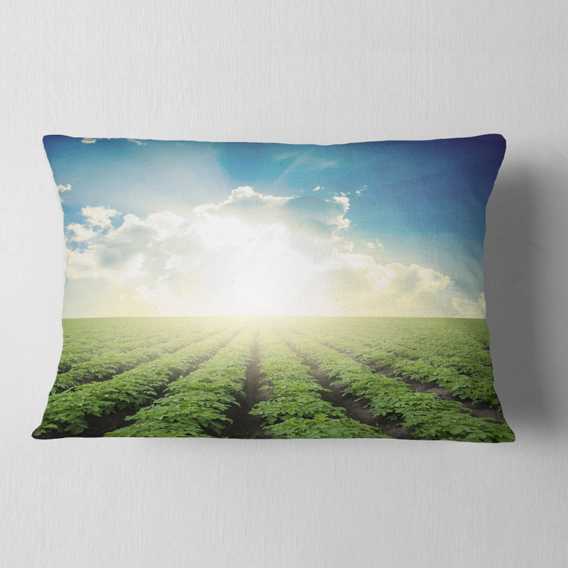 Coussin lombaire Schafer