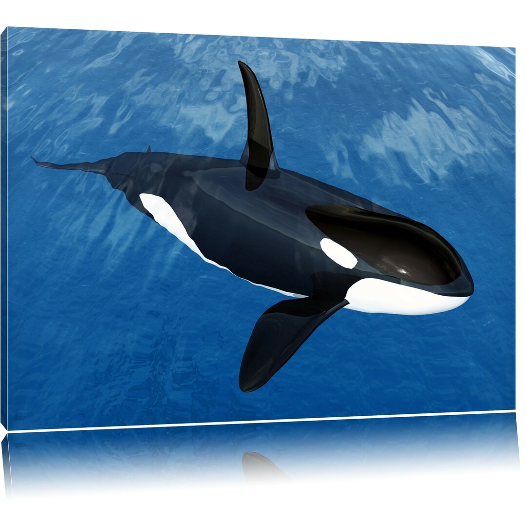 Leinwandbild Orca im blauen Meer