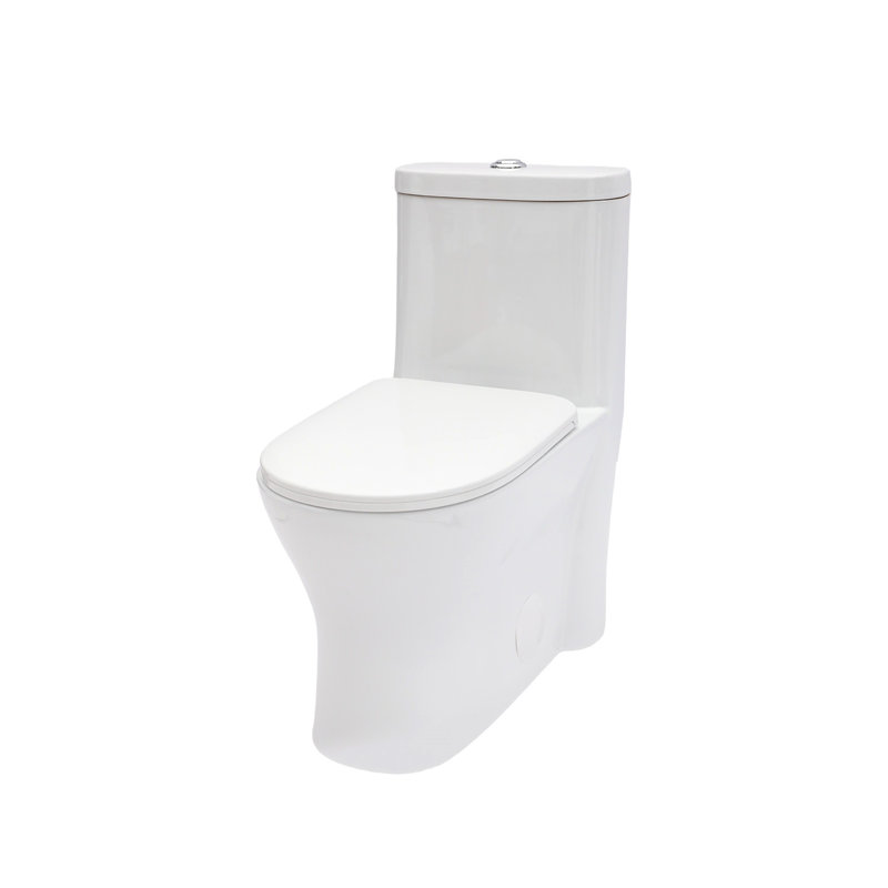 Toilette monobloc en céramique pour salle de bain, 12 po à carreaux rugueux, 1,22 / 1,6 GPF, double chasse avec siège à fermeture en douceur, double chasse puissante CARTE 800G
