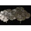 Annabella Coffee Table