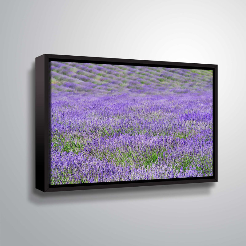 « lavande fields i »-reproduction de photo, H 8 po x l 12 po x P 2 po, Toile sur cadre
