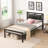 Metal Bed Frame