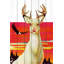 « abino cerf », reproduction d’art sur bois blanc-17706486