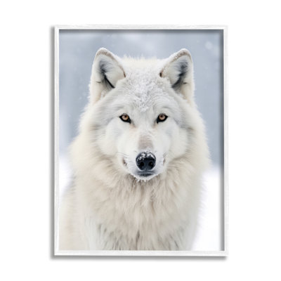 " White Wolf In Snow " by Ray Powers