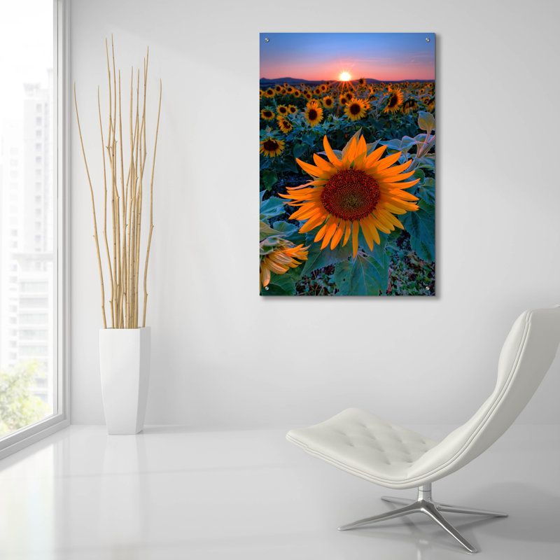 «Sunflower Sunset» par Rick Berk, H 36 po x l 24 po x P 0,2 po