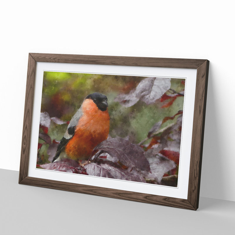 Bullfinch Bird - Picture Frame Painting, 27cm H x 36cm W x 2cm D, Walnut Framed