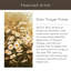 «Daisies» par Ellen Thayer Fisher par Ellen Thayer Fisher, reproduction d'art encadrée sur bois