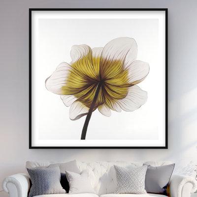 Beautiful Anemone Yellow Flower Print - Bedroom Decor Framed